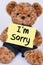 Teddy bear holding a yellow sign that says I`m Sorry
