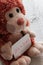 Teddy bear holds an announncement card for baby girl, space for text
