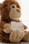 Teddy bear holds an announncement card for baby girl, space for text