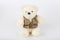 Teddy Bear on Isolate background. bow cute art nice love floor b