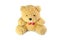 Teddy bear isolate on white background