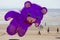 Teddy Bear at Kite Festival Weston-super-Mare Somerset