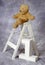 Teddy bear on ladder