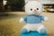 Teddy bear lonely of white and blue skin sitting