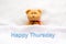 Teddy Bear lying in the white bed with message Happy Thursday