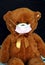 Teddy bear in a mask. Get vaccinated to get rid of the mask. Mask as a symbol of safety.Covid-19. Protect yourself and others.