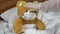 Teddy bear measure the temperature by hand. The doctor makes a measurement of temperature by applying a hand to his