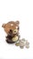 Teddy bear money box
