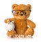 Teddy bear. Money savings concept isolated white background