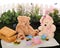 Teddy Bear Picnic