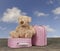Teddy bear and pink with white dots vintage suitcases