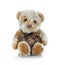 Teddy bear plushie doll isolated on white background with shadow reflection. Plush stuffed puppet on white backdrop.