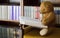 Teddy bear reads a book in the library - studying scene
