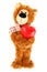 Teddy bear with red heart