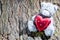 teddy bear with a red heart on the bark of a tree with moss
