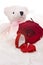 Teddy bear with ring and red rose