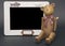 Teddy bear\'s blackboard