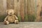 Teddy bear seated against a wooden wall