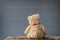 Teddy bear sits on a chest while facing a grey seamless background