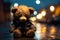 Teddy bear sits, rain soaked, on lonely night street a poignant scene