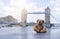 Teddy bear sitting alone with blurry london tower bridge background, The forgotten bear sitting by the river, lost property, Lonel