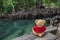 Teddy bear sitting on a bridge near the natural canal. The clear green stream flows through the mangrove forest root.