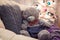 Teddy bear sitting on chair with gray pillow.