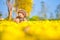 Teddy Bear sitting in the garden with yellow flower fall background. Concept about loneliness. Teddy bear doll toy on yellow flowe