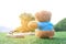 Teddy bear sitting on the grass with burst sunrise light