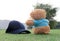 Teddy bear sitting on the grass with cap gap . Concept about travel