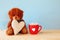 teddy bear sitting and holding a heart next to cup of coffee