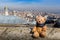 Teddy bear sitting over Bosphorus and old town of Istanbul, Turkey