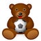 Teddy bear soccer ball