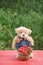 Teddy bear standing behind a basket filled with red currant