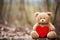 teddy bear with a stitched heart on the