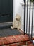 Teddy Bear Stone Front Door Decor Stoop Step