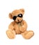 Teddy bear in sun glasses