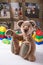 Teddy bear surrounded by blocks of children's plastic building kit