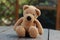Teddy bear toy