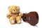 Teddy bear with ukulele on white background