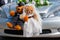 Teddy bear wedding