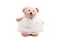 Teddy Bear in Wedding Dress