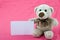 Teddy bear with white notice on pink background