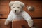 Teddy bear on wooden chest of drawers background