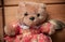 Teddy bear on wooden chest of drawers background