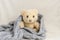 Teddy bear wrapped in knitted plaid