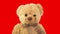 Teddy bears on a color background. A crowd of brown bears. Favorite children`s soft toy.