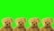 Teddy bears on a green background. A crowd of brown bears. Favorite children`s soft toy.