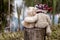 Teddy bears in love hugging by the lake sitting on a stump