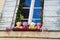 teddy bears sitting on the windowsill